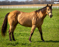 3J1A5562-Edit