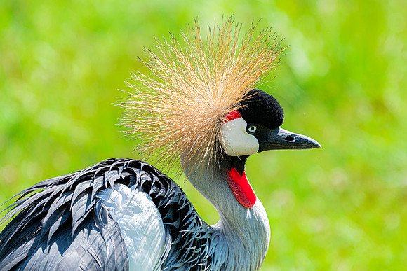 DSC_4632
